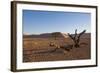 Landscape with Desert Grasses, Red Sand Dune and African Acacia Trees, Sossusvlei, Namibia, Souther-DR_Flash-Framed Photographic Print