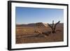 Landscape with Desert Grasses, Red Sand Dune and African Acacia Trees, Sossusvlei, Namibia, Souther-DR_Flash-Framed Photographic Print