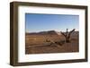 Landscape with Desert Grasses, Red Sand Dune and African Acacia Trees, Sossusvlei, Namibia, Souther-DR_Flash-Framed Photographic Print