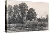 Landscape with Elm Tress and a House-John Constable-Stretched Canvas