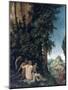 Landscape with Family of Satyrs, 1507-Albrecht Altdorfer-Mounted Giclee Print