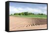 Landscape with Field, Fife, Scotland-phbcz-Framed Stretched Canvas