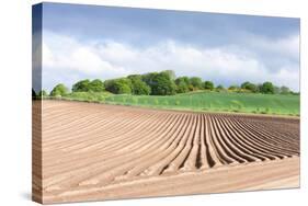 Landscape with Field, Fife, Scotland-phbcz-Stretched Canvas