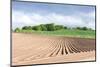 Landscape with Field, Fife, Scotland-phbcz-Mounted Photographic Print