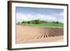 Landscape with Field, Fife, Scotland-phbcz-Framed Photographic Print