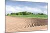 Landscape with Field, Fife, Scotland-phbcz-Mounted Photographic Print