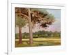 Landscape with Fir Trees-Augustus Edwin John-Framed Giclee Print