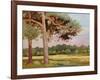 Landscape with Fir Trees-Augustus Edwin John-Framed Giclee Print