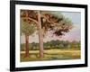 Landscape with Fir Trees-Augustus Edwin John-Framed Giclee Print