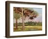 Landscape with Fir Trees-Augustus Edwin John-Framed Giclee Print