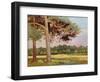 Landscape with Fir Trees-Augustus Edwin John-Framed Giclee Print