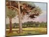 Landscape with Fir Trees-Augustus Edwin John-Mounted Giclee Print