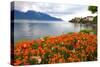 Landscape with Flowers and Lake Geneva, Montreux, Switzerland.-felker-Stretched Canvas