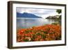 Landscape with Flowers and Lake Geneva, Montreux, Switzerland.-felker-Framed Photographic Print