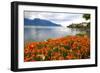 Landscape with Flowers and Lake Geneva, Montreux, Switzerland.-felker-Framed Photographic Print