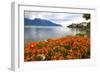 Landscape with Flowers and Lake Geneva, Montreux, Switzerland.-felker-Framed Photographic Print