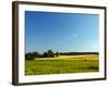 Landscape with Forest and Horse in a Meadow-wolf139-Framed Premium Photographic Print