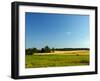 Landscape with Forest and Horse in a Meadow-wolf139-Framed Photographic Print
