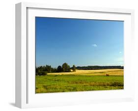 Landscape with Forest and Horse in a Meadow-wolf139-Framed Photographic Print