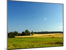 Landscape with Forest and Horse in a Meadow-wolf139-Mounted Photographic Print