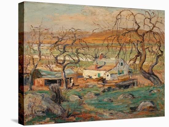 Landscape with Gnarled Trees (Oil on Cardboard)-Ernest Lawson-Stretched Canvas