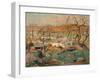 Landscape with Gnarled Trees (Oil on Cardboard)-Ernest Lawson-Framed Giclee Print