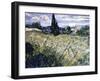 Landscape with Green Corn-Vincent van Gogh-Framed Giclee Print