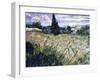 Landscape with Green Corn-Vincent van Gogh-Framed Giclee Print