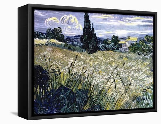 Landscape with Green Corn-Vincent van Gogh-Framed Stretched Canvas