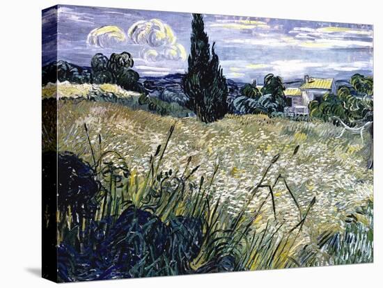 Landscape with Green Corn-Vincent van Gogh-Stretched Canvas