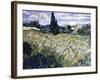 Landscape with Green Corn-Vincent van Gogh-Framed Giclee Print