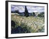 Landscape with Green Corn-Vincent van Gogh-Framed Giclee Print