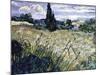 Landscape with Green Corn-Vincent van Gogh-Mounted Giclee Print