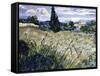 Landscape with Green Corn-Vincent van Gogh-Framed Stretched Canvas