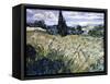 Landscape with Green Corn-Vincent van Gogh-Framed Stretched Canvas