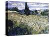 Landscape with Green Corn-Vincent van Gogh-Stretched Canvas