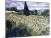 Landscape with Green Corn-Vincent van Gogh-Stretched Canvas