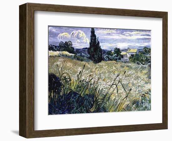 Landscape with Green Corn-Vincent van Gogh-Framed Giclee Print