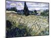 Landscape with Green Corn-Vincent van Gogh-Mounted Giclee Print