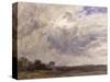 Landscape with Grey Windy Sky, C.1821-30 (Oil on Paper Laid Down on Millboard)-John Constable-Stretched Canvas