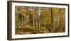 Landscape with Iraty forest, Basque Country, Pyrenees-Atlantique, France-Panoramic Images-Framed Photographic Print