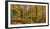 Landscape with Iraty forest, Basque Country, Pyrenees-Atlantique, France-Panoramic Images-Framed Photographic Print