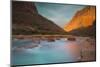 Landscape with Little Colorado River in canyon, Chuar Butte, Grand Canyon National Park, Arizona...-Panoramic Images-Mounted Photographic Print