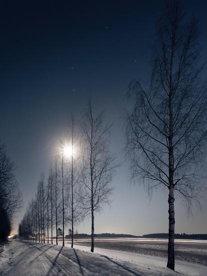 Photo, , large