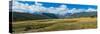 Landscape with mountain in background, Moraine Park, Rocky Mountain National Park, Colorado, USA-null-Stretched Canvas