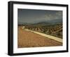 Landscape with Olive Trees, Near Jaen, Andalucia, Spain-Michael Busselle-Framed Photographic Print