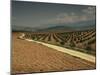 Landscape with Olive Trees, Near Jaen, Andalucia, Spain-Michael Busselle-Mounted Photographic Print