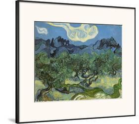 Landscape with Olive Trees-Vincent van Gogh-Framed Art Print