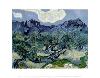 Landscape with Olive Trees-Vincent van Gogh-Lamina Framed Art Print