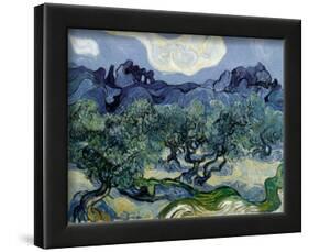 Landscape with Olive Trees-Vincent van Gogh-Lamina Framed Art Print